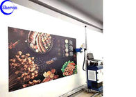 Stampante murala della parete intelligente del CE di CMYK Shervin 3d